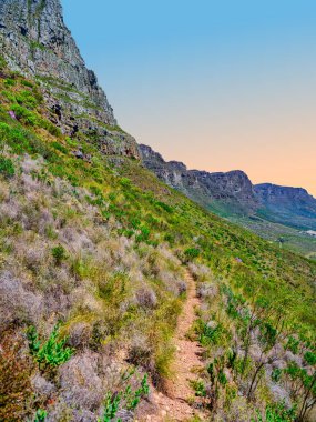 Bereketli Fynbos ile Table Dağı 'nda yürüyüş yolu, 12 Havari dağ arka planı, Güney Afrika