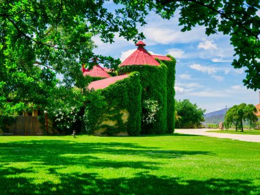 Ağaç yaprakları, mavi gökyüzünün altında beyaz bulutlu büyüleyici sarmaşık kaplı kır evi, Robertson, Batı Burnu, Güney Afrika