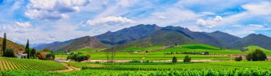 Robertson Vadisi 'nin panorama çekimi. Tepe üzerinde çiftlik evi, Breede Nehri ve Langeberg Dağları. Arka planda Batı Burnu, Güney Afrika.