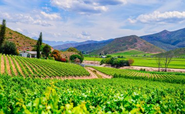 Tepedeki çiftlik evinde Robertson şarap vadisi, Langeberg Dağları, Batı Burnu, Güney Afrika