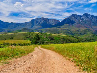 Langeberg Dağları 'na giden çakıl taşı 4x4 yolu kanola tarlaları, Swellendam, Batı Burnu, Güney Afrika