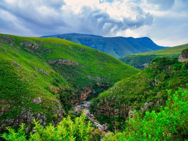 Langeberg Dağları, yemyeşil bitki örtüsü ve vadiden akan Tradouw Nehri, Suurbraak, Overberg, Batı Burnu, Güney Afrika