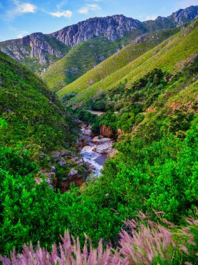 Vertical shot of Tradouw River flowing in the Langeberg Mountains gorge, Suurbraak, Overberg, Western Cape, South Africa clipart