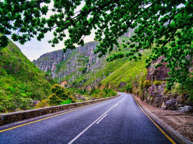 Langeberg Dağları 'ndaki virajlı yolda bir ağacın altından manzaralı, Suurbraak, Overberg, Batı Burnu, Güney Afrika