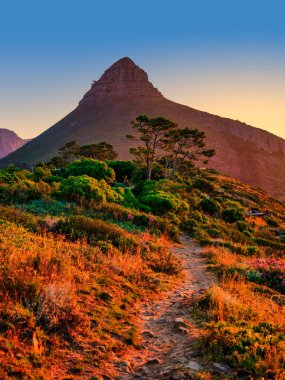 Altın günbatımında Lion 's Head dağına giden yürüyüş yolu, Cape Town, Güney Afrika