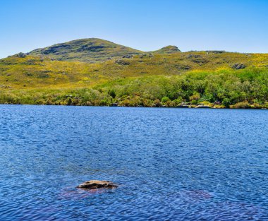 Silvermine Doğa Koruma Alanı, Cape Town, Güney Afrika