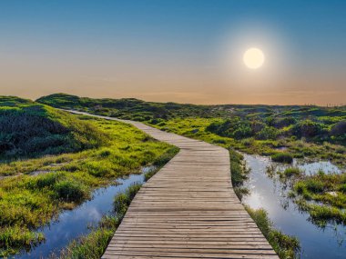 Günbatımında Slangkop Deniz fenerinde tahta yol, Kommetjie, Cape Town, Güney Afrika