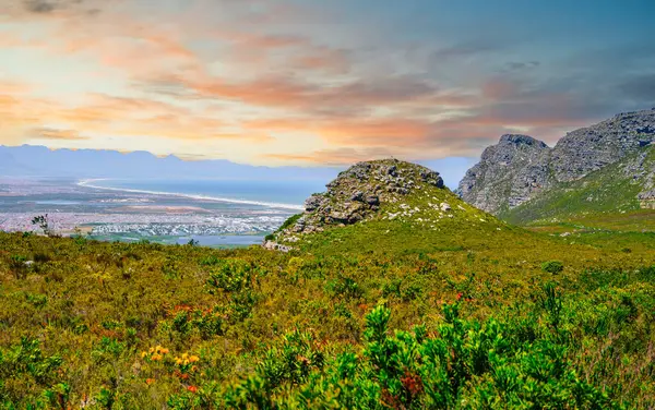 Silvermine Doğa Koruma Dağı ve arka planda Muizenberg çiçekleri, Cape Town, Güney Afrika