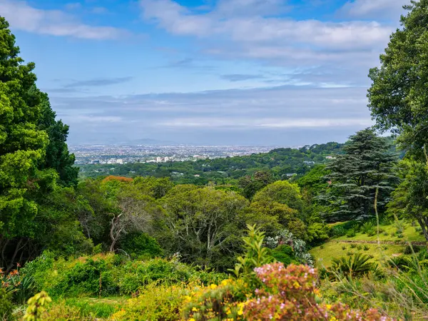 Şehrin manzarası Kirstenbosch Ulusal Botanik Bahçesi, Cape Town, Güney Afrika
