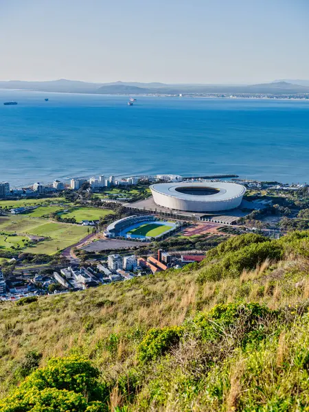 Yeşil nokta parkının ve sahil binalarının öğleden sonra çekilmiş dikey görüntüsü, Cape Town Güney Afrika