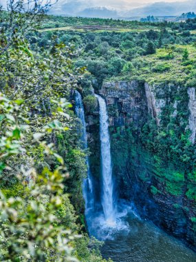 Mac Mac Falls 'un Panorama rotasındaki Orman Doğa Rezervi' ndeki dikey çekimi, Mpumalanga, Güney Afrika