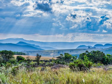 Mpumalanga, Güney Afrika, Panorama rotasındaki vahşi çayırlar ve yuvarlanan tepeler