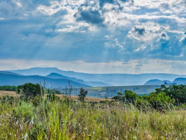 Mpumalanga, Güney Afrika, Panorama rotasındaki vahşi çayırlar ve yuvarlanan tepeler