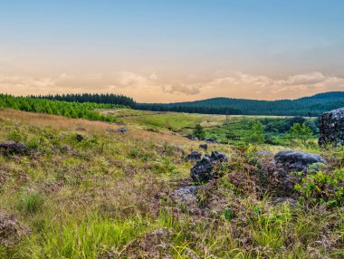 Graskop, Mpumalanga, Güney Afrika 'daki Panorama rotasındaki Yuvarlanan tepeler ve çayırlar