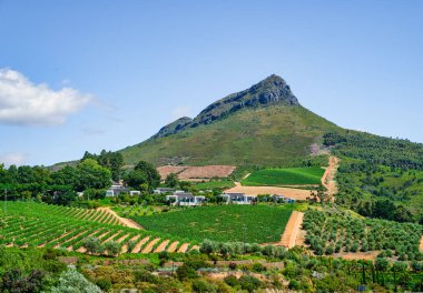 Delaire Graff Şarabı Dağ yamaçlarında, Cape Town, Güney Afrika
