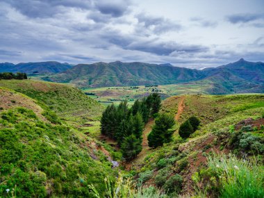 Dağ geçidi, ağaçlar ve bereketli vadi Lesotho 'nun dağ krallığında dağlarla çevrili.