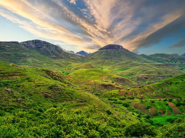 Tepeler ve dağlarla çevrili tepelerde yetişen ve Lesotho 'da dramatik bir bulut bulutu olan tarlalar.