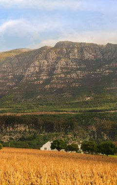 Cape Dutch çiftlik evi ve masa örtüsü arka planda Cape Town Güney Afrika 'da.