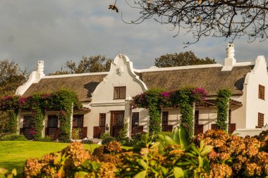 Üzüm sırası ve yemyeşil bahçesi olan Hollanda usulü şarap çiftliği.