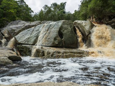 Güney Afrika 'daki Wilderness Ulusal Parkı' nda Kingfisher Yolu 'nun yarısı yakalı.