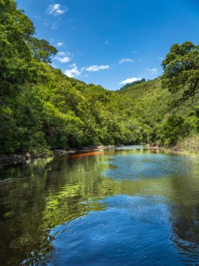 Towsrivier, Güney Afrika 'ya uzanan, yemyeşil dağ ormanlarında koşuyor.