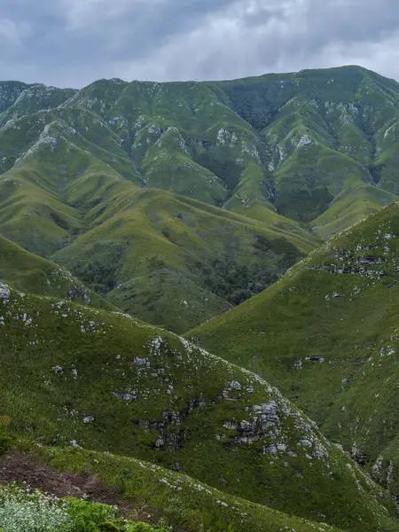Outeniqua dağlarının Outeniqua geçidinden bulutlu bir yaz gününde portre çekimi