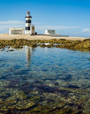 Portrait water level shot of Cape Recife Lighthouse on a clear day with reflection clipart