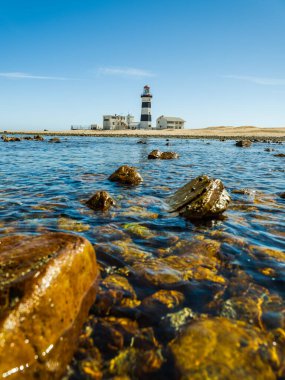 Port Elizabeth Gqeberha 'da açık bir yaz gününde Cape Recife Deniz Feneri' nin portresi.