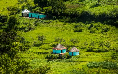 Geleneksel Afrika rondavel evi Güney Afrika 'daki Doğu Cape köyünde.