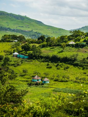 Geleneksel Afrika rondavel evi Güney Afrika 'daki Doğu Cape köyünde.