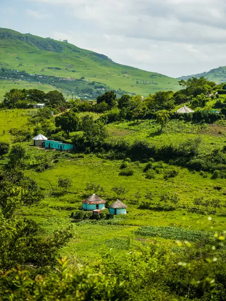 Geleneksel Afrika rondavel evi Güney Afrika 'daki Doğu Cape köyünde.