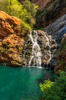 Şelale ve aşağıdaki gölet Walter Sisulu Ulusal Botanik Bahçesi, Johannesburg, Güney Afrika