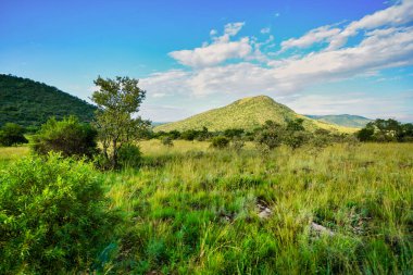 Çayırları ve dağları olan Afrika savanasının alçak açılı çekimi, Magaliesburg, Güney Afrika