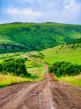 Wakkerstroom, Mpumalanga, Güney Afrika 'daki Wakkerstroom' daki verimli vadiden geçen 4x4 yol ve yuvarlanan tepelerin dikey çekimi