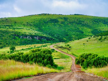 Winding 4x4 road through the lush valley and rolling hills in Wakkerstroom, Mpumalanga, South Africa clipart