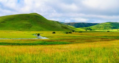 Bulutlu bir öğleden sonra, Wakkerstroom, Mpumalanga, Güney Afrika 'da, yemyeşil bir vadi ve dalgalı tepeler manzarası.