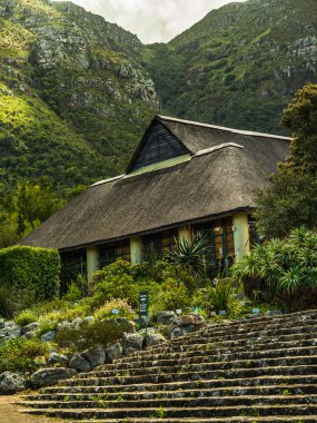 Baharda Cape Town 'da bahçedeki çatı katının yakın çekim görüntüsü.