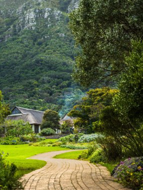 Baharda Cape Town 'da bahçedeki çatı katının portresi.