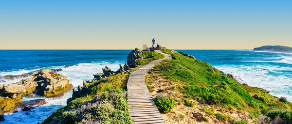 Engebeli Robberg Yarımadası 'nın geniş panoramik manzarası. Güney Afrika, Plettenberg Körfezi, Fynbos arazisi boyunca kıvrılan dolambaçlı ahşap bir yürüyüş yolu.