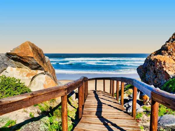 Manzaralı ahşap patika, davetkar bir şekilde aşağıya Robberg Doğa Rezervi 'nin kumlu kıyılarına ve güzel sahil şeridine iniyor.