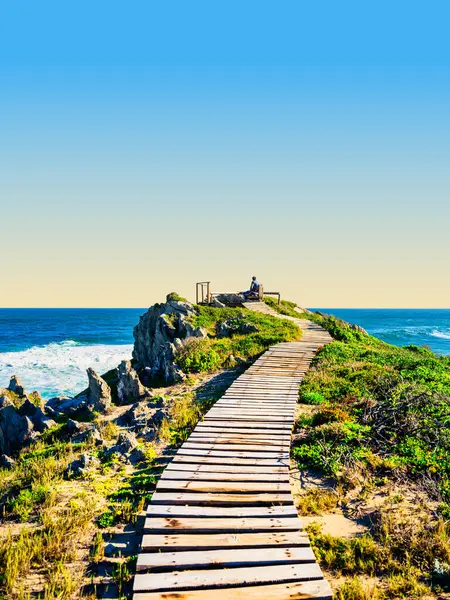 Yukarı doğru açı Robberg Yarımadası 'nın zirvesine doğru kıvrılan kırsal ahşap bir patikayı yakalıyor doğal güzelliğini gözler önüne seriyor, Plettenberg Körfezi, Güney Afrika