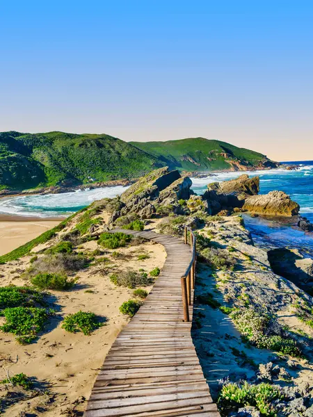 Sarmal ahşap bir yürüyüş yolu Robberg Yarımadası 'ndan geçer, engebeli dağların manzarasını sunar ve aşağıdaki muhteşem turkuaz plajı, Plettenberg Körfezi, Güney Afrika