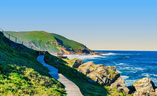 Robberg Yarımadası 'nın gür, engebeli fynbos boyunca uzanan ahşap bir yürüyüş yolu güney Afrika' daki Plettenberg Körfezi sahilindeki sakin ahşap izleme bankına çıkıyor.