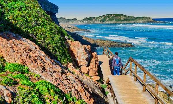 Maceraperest yürüyüşçüler uçurum kenarına inşa edilmiş ahşap bir geçitten geçerek Plettenberg Körfezi, Güney Afrika 'daki çarpıcı sahil manzarasının tadını çıkarıyorlar.