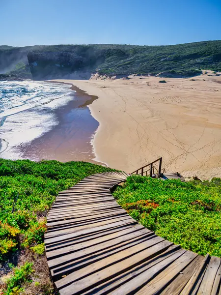 Robberg Yarımadası 'nın kumlu sahilinden başlayıp, Plettenberg Körfezi, Güney Afrika' daki doğal koruma alanına doğru uzanan tahta bir geçide dikey bir perspektif.