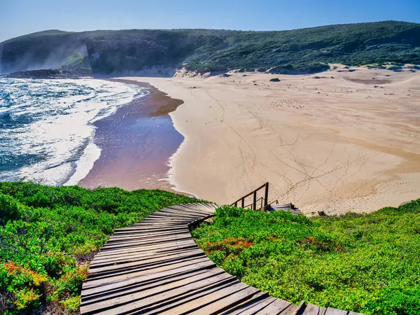 Robberg Yarımadası 'nın kumlu sahillerinden tahta bir yürüyüş yolu yükseliyor. Güney Afrika' daki Plettenberg Körfezi 'nin doğa rezervlerini keşfetmeye davet ediyor.