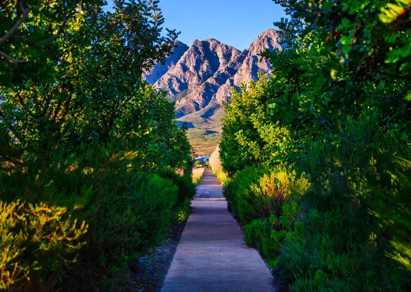 Huzurlu bir yürüyüş yolu, göz alıcı Waaihoek Dağları 'na, BOSJES Çiftliği' ne, Breedekloof 'a, Güney Afrika' ya uzanan yemyeşil bir bahçeden geçen bir yol açar.