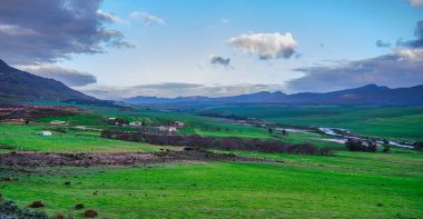 Overberg bölgesindeki yemyeşil bir vadinin panoramik manzarası. İçinden akan bir nehir, otlayan koyunlar ve Güney Afrika 'daki Hermanus ve Caledon arasında uzanan dağlar.