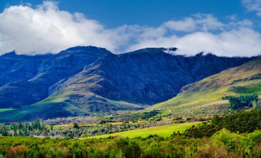 Güney Afrika 'nın Stellenbosch şarap bölgesinin merkezindeki görkemli Helderberg Dağı' nın kayan yamaçlarını yemyeşil üzüm bağları kaplıyor.