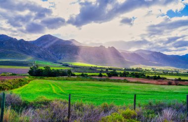 Güney Afrika 'nın Worcester bölgesinde, üzüm bağları ve yemyeşil otlaklar da dahil olmak üzere tarım arazilerinin bir kısmını aydınlatmak için dramatik güneş ışınları bulutları delip geçiyor.